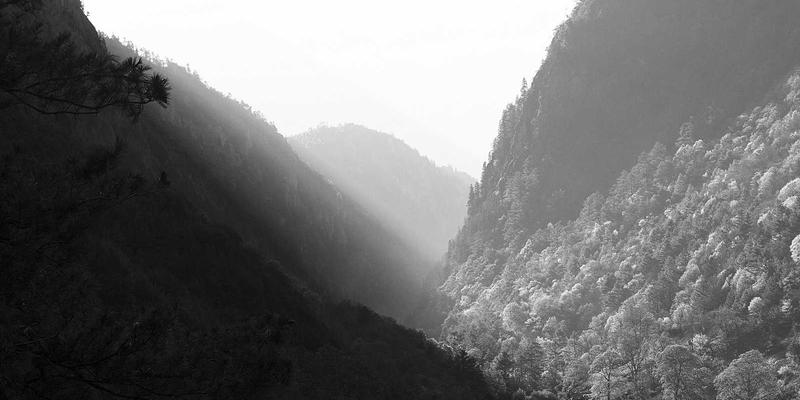 链路追踪